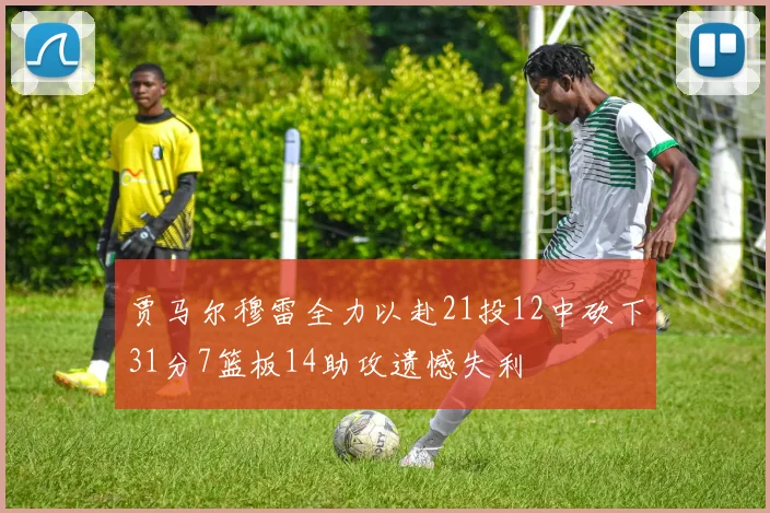 贾马尔穆雷全力以赴21投12中砍下31分7篮板14助攻遗憾失利