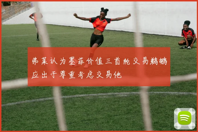 弗莱认为墨菲价值三首轮交易鹈鹕应出于尊重考虑交易他