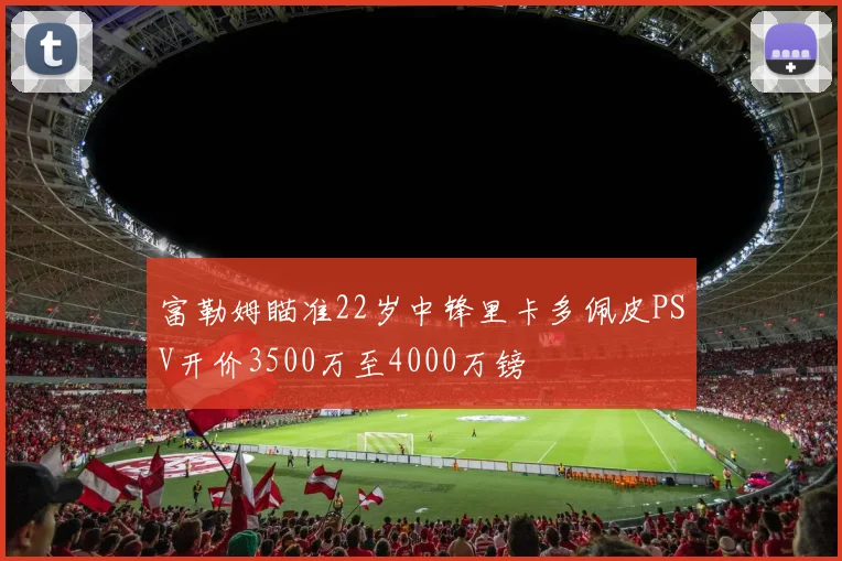 富勒姆瞄准22岁中锋里卡多佩皮PSV开价3500万至4000万镑