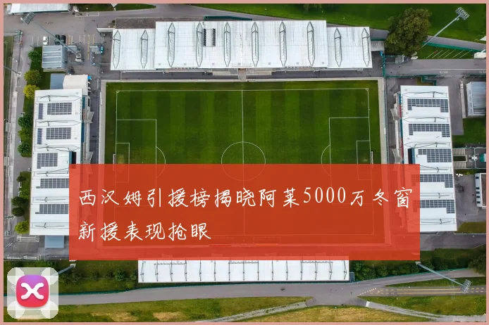 西汉姆引援榜揭晓阿莱5000万冬窗新援表现抢眼