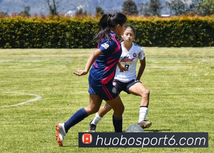 App Interface Preview